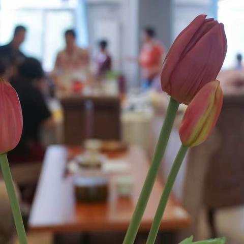 老团河发小亲情聚会