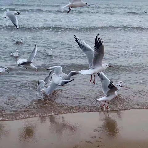 线上学习，体验收获