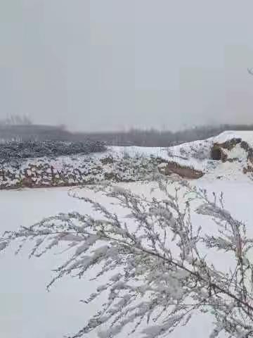 大家好，我是池阳小学二年级三班王闫博轩同学，我正在参加池阳小学“微实践做中学”堆雪人