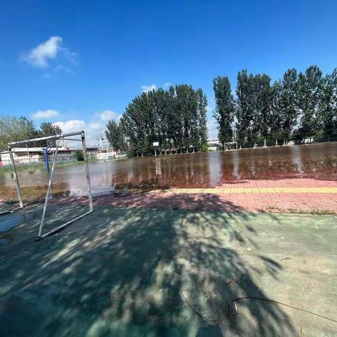 🌈新兴幼儿园教师专业能力提升培训🍉🍉