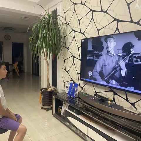 五彩杏花——杏园小学暑假实践活动