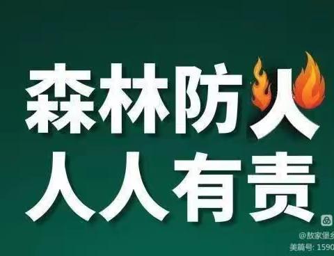 南山城镇多举措开展森林草原防灭火工作