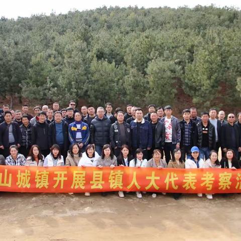 汇聚人大力量，助力乡村振兴——南山城镇开展人大代表培训考察活动