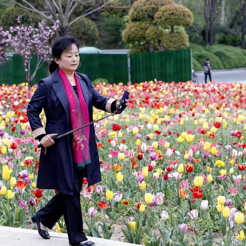 踏青赏花