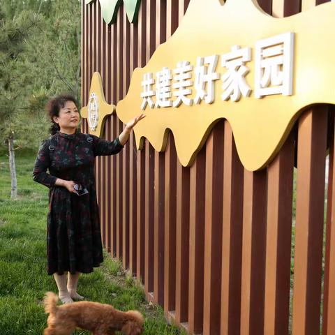 遇见黄河湿地