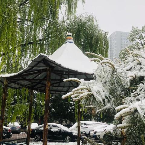 谷雨时节遇雪得韵