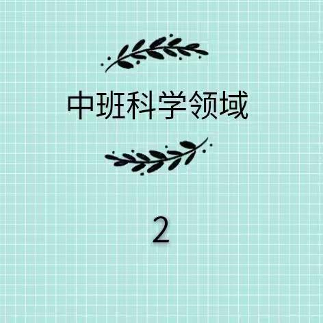 ——丰富多彩的科学世界，等待着你的探索和发现！