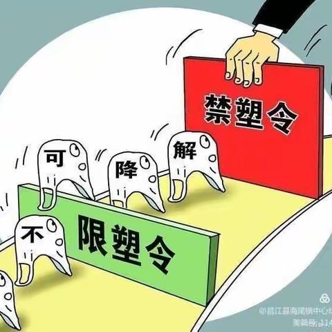 苗苗幼儿园大一班《禁塑》宣传活动