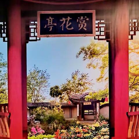 《花之美》100篇记念