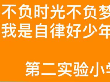 不负时光不负梦，我是自律好少年——第二实验小学网课风采