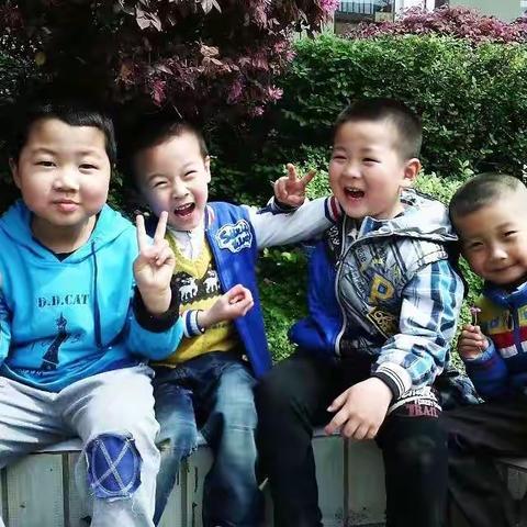 我的幼教成长之路