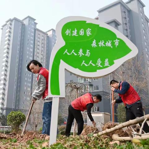 有树可栖，未来可期——化林路街道岭南二社区开展植树增绿活动