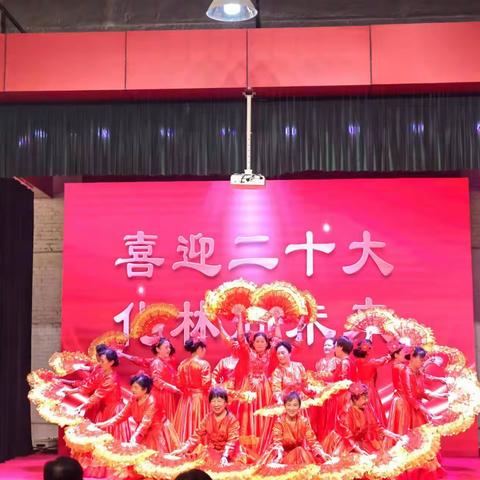 化林路街道开展“喜迎二十大 化林向未来” 主题党日活动