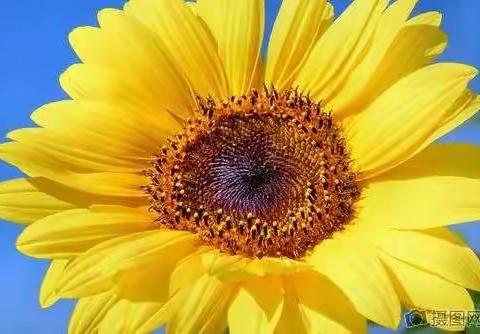 开学即冲刺  开学即绽放