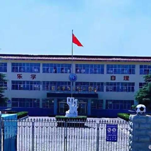 【五里店小学】聚焦新课标，学习正当时！