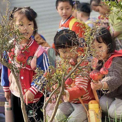 “邂逅金秋，快乐一行”——石门希望幼儿园大一班秋游记