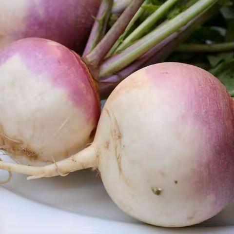 蔓菁丝丝里的爱