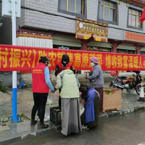 【脱贫增收】助农销售高原蔬菜 增收致富暖人心