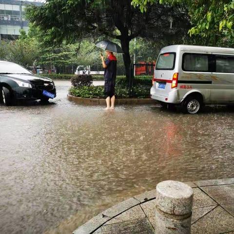 雨水花园（壇）