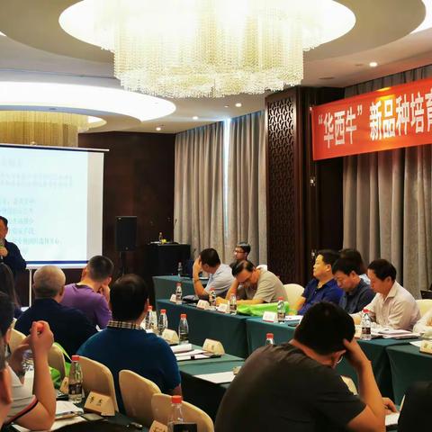 海垦控股集团副总经理张志坚参加“华西牛”新品种培育联合攻关2019年工作总结会