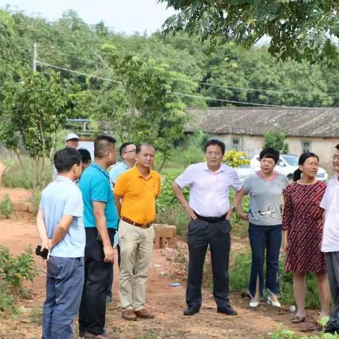 海南省发改委区域环资处高佃恭处长到草畜集团调研棚改项目