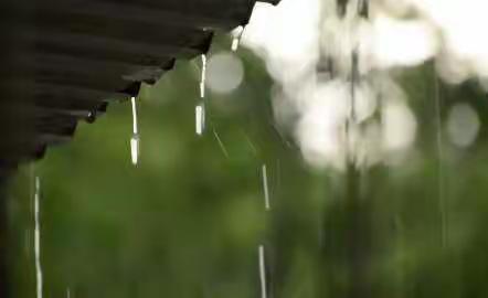 谷雨，我们来写诗——雩山中小学七年级（16）班