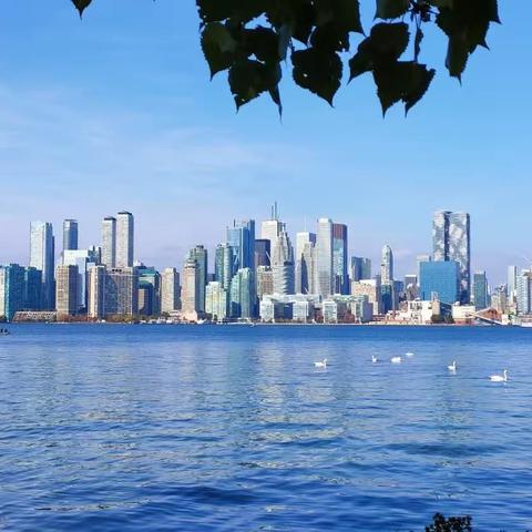 金秋旅居多伦多