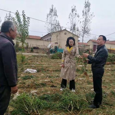 市外事办赴帮扶村调研脱贫攻坚工作