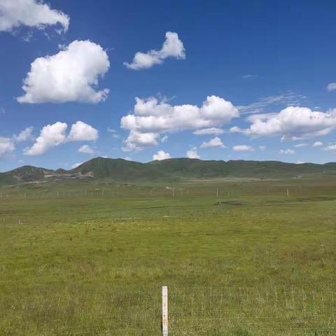 青山依旧的美篇