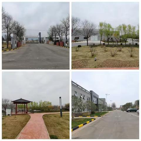 代王街道省级乡村振兴示范镇项目建设周工作动态——3月20日-3月24日