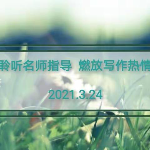 聆听名师指导   燃放写作激情——康城中心校特邀《新作文》老师作讲座