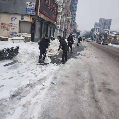 叶县高中组织志愿者服务队到分包路段清扫积雪！