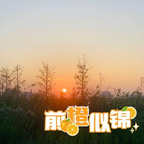 疫情解封后“我阳了”