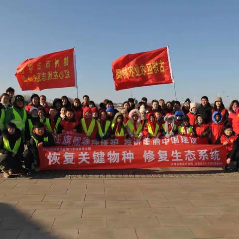 保护野生动物 守护绿色家园