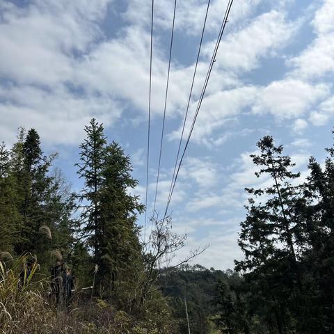 3月2日溪潭所对王里村I回树障清理