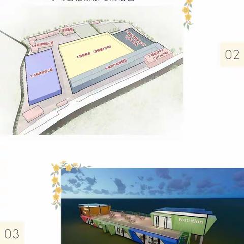 王和娇副市长调研琼山区粮食作物现代农业产业园项目建设