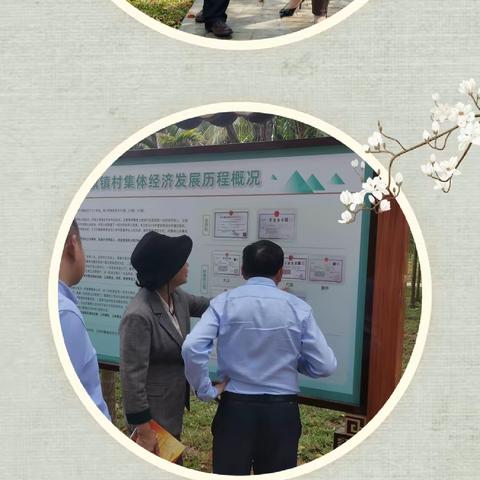 王满传教授调研红旗镇宜居宜业和美乡村建设工作