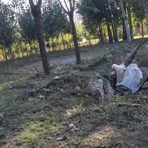 长治市潞城区城乡环境卫生整治提升工作简报（2022.10.21）