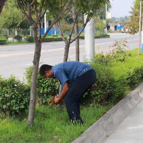 鄠邑区交通运输局路长制工作动态