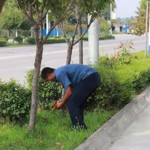 鄠邑区交通运输局路长制工作动态