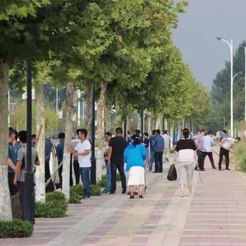 鄠邑区交通运输局路长制工作动态