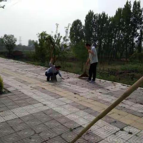 鄠邑区交通运输局路长制工作动态