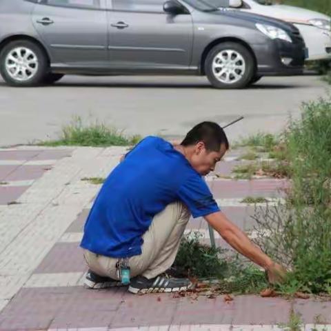 鄠邑区交通运输局路长制工作动态