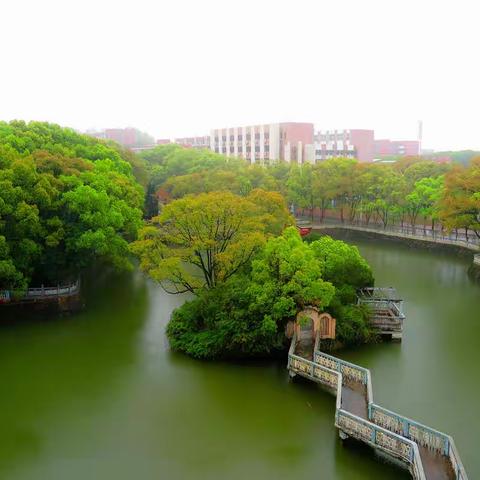 师生齐心聚电院，无畏艰辛战疫情。十轮核酸层层控，等来春色满门盈。镜头记录在学校第17天