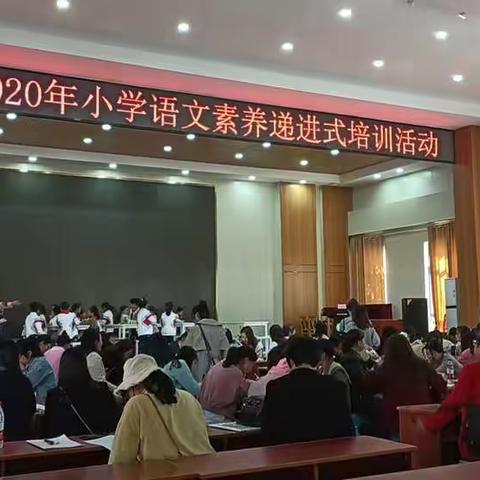 培训促成长，新芽蓄力量——观江华县2020年小语学科素养递进式培训