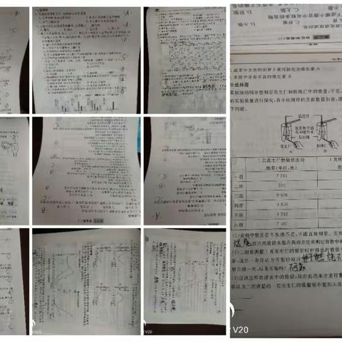 263班、264班第一周生物暑假作业汇报展示