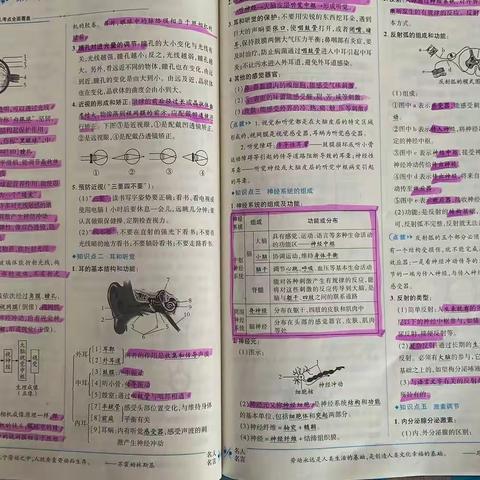 257班、259班第七周生物作业汇报