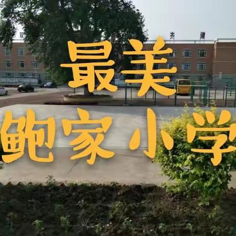 美丽校园 我们是行动者 ——鲍家中心小学 窦春英