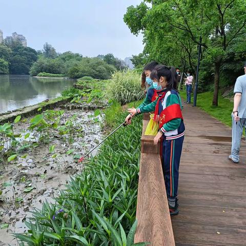 “民间小河长，巡河大力量” 金山街道开展小河长巡河护河行动