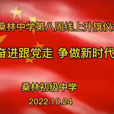 桑林中学《砥砺奋进跟党走 争做新时代好少年》主题线上升旗仪式